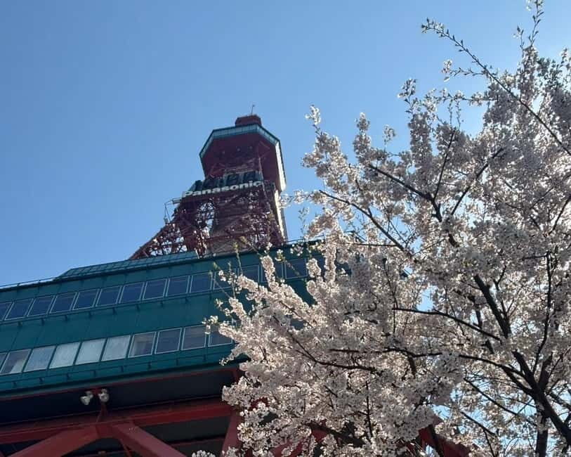 Authentic Sapporo: Nijo Market Seafood Lunch & History Tour - Price and value: what $61 buys in real-world terms