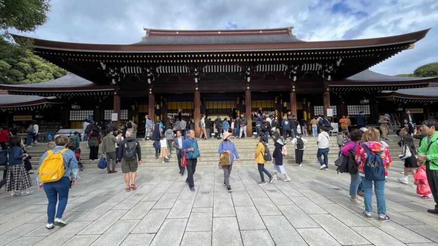 Awesome Private Tour: Tsukiji, Asakusa, Shinjuku, Shibuya - Shibuya Crossing and the Shinjuku night vibe: peak Tokyo energy, with your feet planned