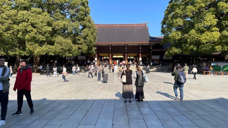 Awesome Private Tour: Tsukiji, Asakusa, Shinjuku, Shibuya - Where Harajuku, Yanaka, Nakano, and Kichijoji can fit (without derailing the day)