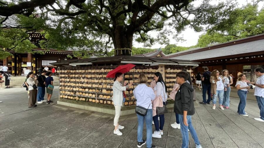 Awesome Private Tour: Tsukiji, Asakusa, Shinjuku, Shibuya - Best fit for your travel style (and who should skip it)