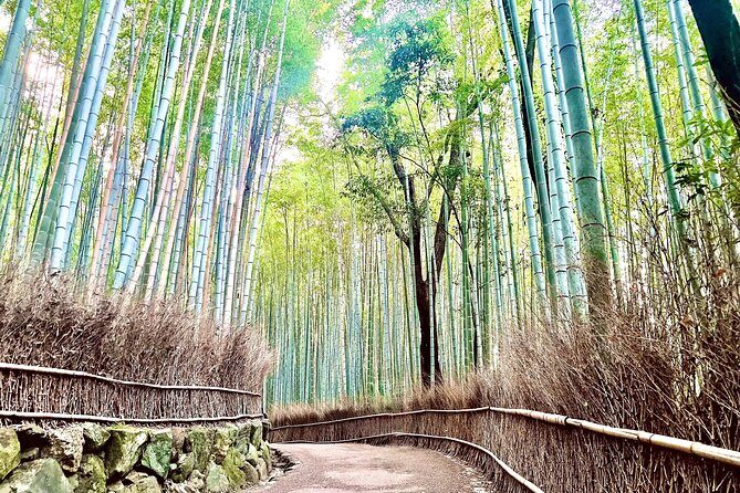 Bamboo Grove Temple and Garden Views Tour - Key things to know before you go