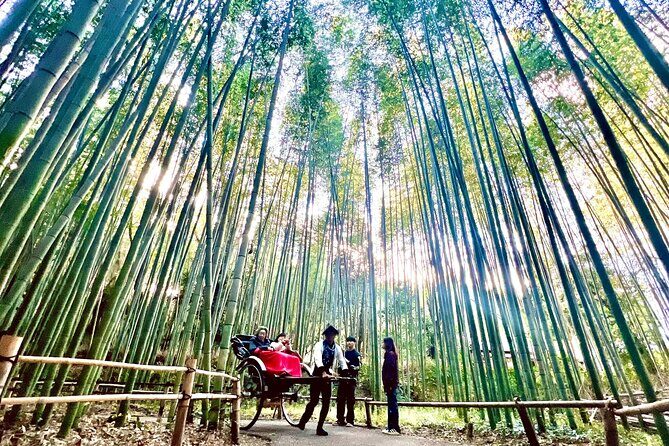 Bamboo Grove Temple and Garden Views Tour - What This $60 Arashiyama Tour Really Covers