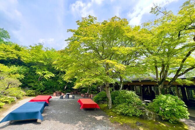 Bamboo Grove Temple and Garden Views Tour - Stop 5: Arashiyama Bamboo Forest Again, But This Time at Walk-Speed