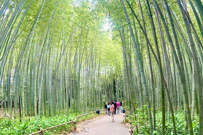 Bamboo Grove Temple and Garden Views Tour - Meeting Point in Kyoto Station Area, Then Off to Arashiyama
