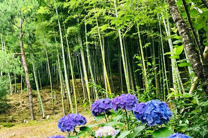 Bamboo LED Lantern Making Experience in Kyoto Arashiyama - Cutting, Drilling, and Building: How the Lantern Comes Together