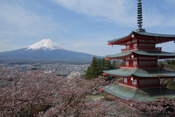 Barrier-Free Private Mt. Fuji Tour for Wheelchair Users - A wheelchair-friendly Fuji day that still feels like real Japan