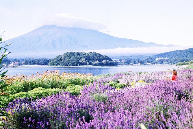 Barrier-Free Private Mt. Fuji Tour for Wheelchair Users - Price and value: what $1,439.87 covers (and what costs extra)