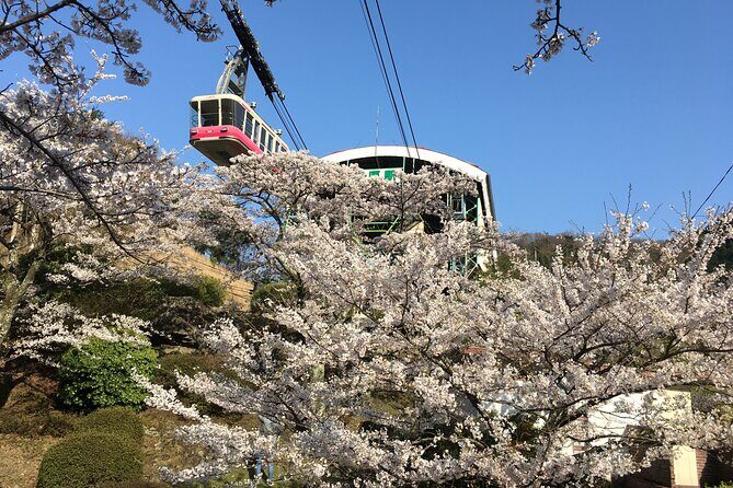 Beppu & Yufuin: Hassle-free Scenic Minivan Half-day Tour - Price and value: is $423 worth it for a 4-hour private tour?