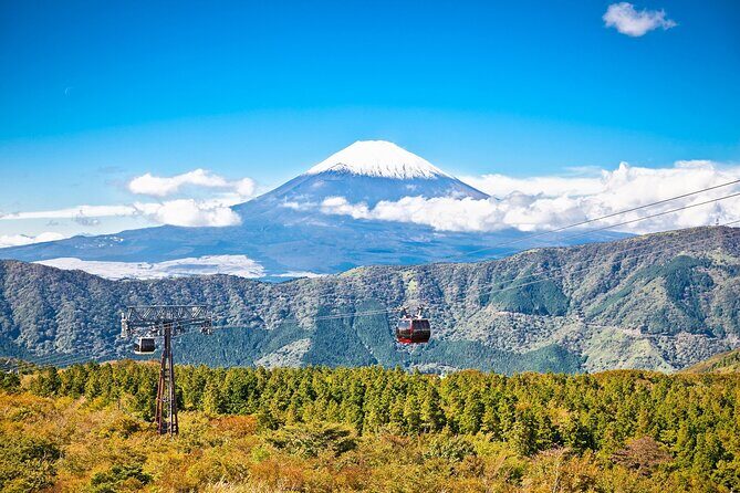 Best Mt Fuji and Hakone Full-Day Bus Tour from Tokyo - Mt. Fuji 5th Station (Subashiri): the viewpoint stop you’re paying for