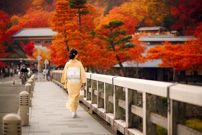 Best of Kyoto and Nara Highlights Day Tour from Osaka (7~9 spots) - Route A (Mon/Wed/Fri): Fushimi Inari, Byodoin, and Uji Omotesando