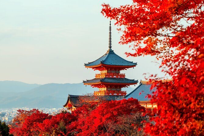 Best of Kyoto and Nara Highlights Day Tour from Osaka (7~9 spots) - Route B (Tue/Thu/Sat): Arashiyama bamboo, Nonomiya Shrine, and Togetsukyo Bridge