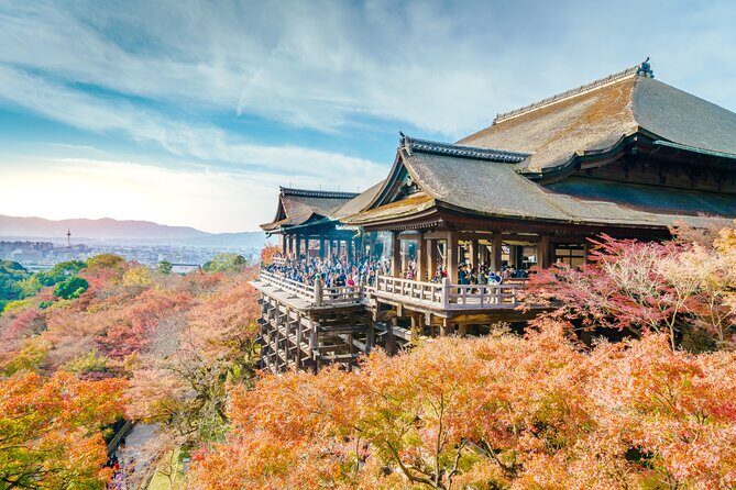 Best of Kyoto and Nara Highlights Day Tour from Osaka (7~9 spots) - 8:00 AM departure and a 6:00 PM return: the rhythm you’ll feel