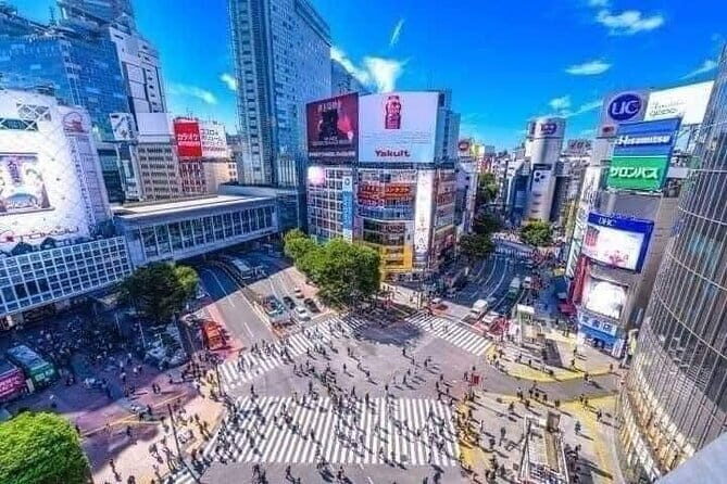 Best of Tokyo Private Tour English Driver &Customizable Itinerary - Key Things That Make This Private Tokyo Tour Worth It