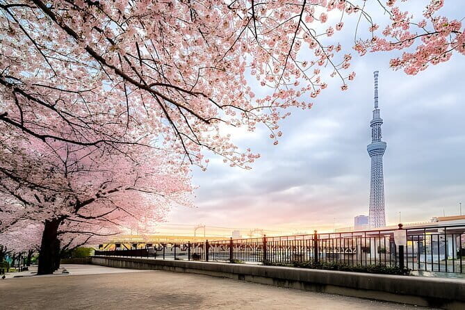 Best of Tokyo Private Tour English Driver &Customizable Itinerary - Pickup, Mobile Ticket, and the Comfort Factor During a 10-Hour Day