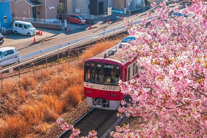 Best of Tokyo Private Tour English Driver &Customizable Itinerary - Stop 6: Takeshita Street in Harajuku (45 Minutes, Admission Included)