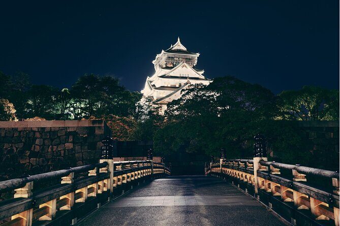Best Private Osaka Walking Tour With A Guide 100% Personalised - A private Osaka walking tour that actually adapts