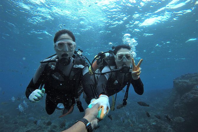 Blue Cave Area Experience Diving!Free feeding & photo images Chinese guide available!1 group with a dedicated instructor - Key things to know before you go