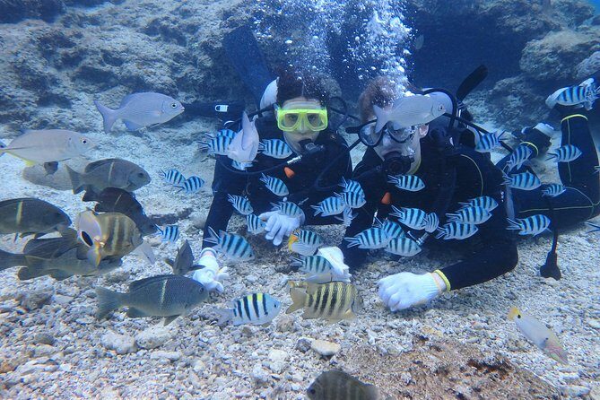Blue Cave Area Experience Diving!Free feeding & photo images Chinese guide available!1 group with a dedicated instructor - Underwater photos and getting your data fast