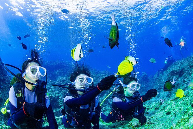 Blue Cave Introductory Dive–Private Guide, Boat Tour&Free Photos - Who this experience fits: first-timers, non-swimmers, and cautious people