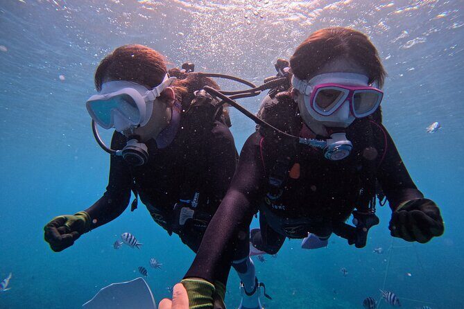 Boat entry diving at the Blue Cave in Onna Village, Okinawa! - Boat-Entry Scuba at the Blue Cave: Why It Feels Easier
