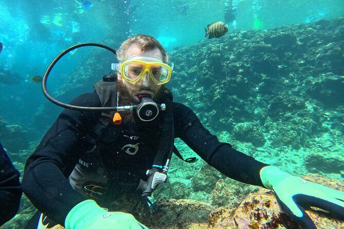 Boat entry diving at the Blue Cave in Onna Village, Okinawa! - Weather Rules: When the Blue Cave Plan Changes