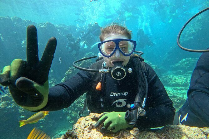 Boat entry diving at the Blue Cave in Onna Village, Okinawa! - Who Should Book (and Who Should Skip It)