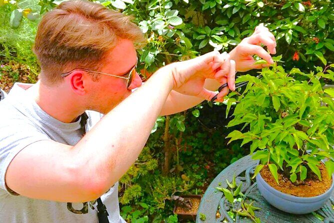 Bonsai Tour & Experience at the Most Sacred City for Bonsai in JP - Key things that make this tour worth your time