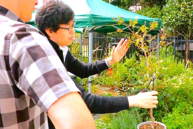 Bonsai Tour & Experience at the Most Sacred City for Bonsai in JP - Garden stop two: pruning and shaping, plus the tools you’ll use
