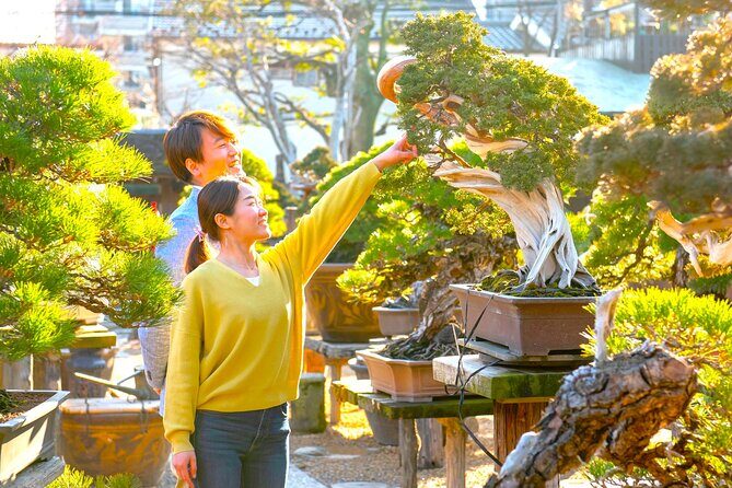 Bonsai Tour & Experience at the Most Sacred City for Bonsai in JP - What to do before you go (so you ask better questions)