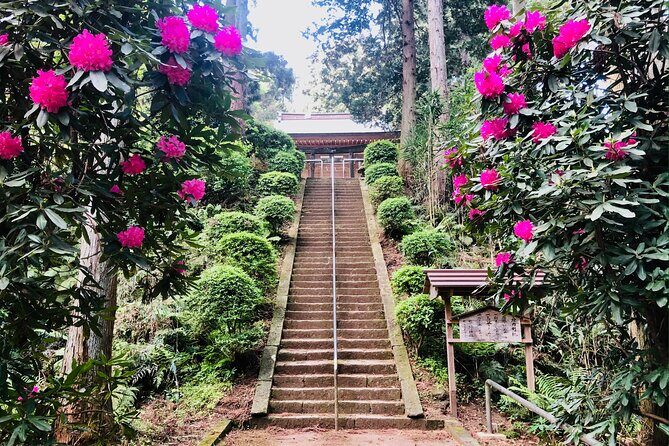 Buddha, Bamboo & Zen - Bespoke Kamakura Private Walking Tours - Your guide in the driver’s seat (and why it changes everything)