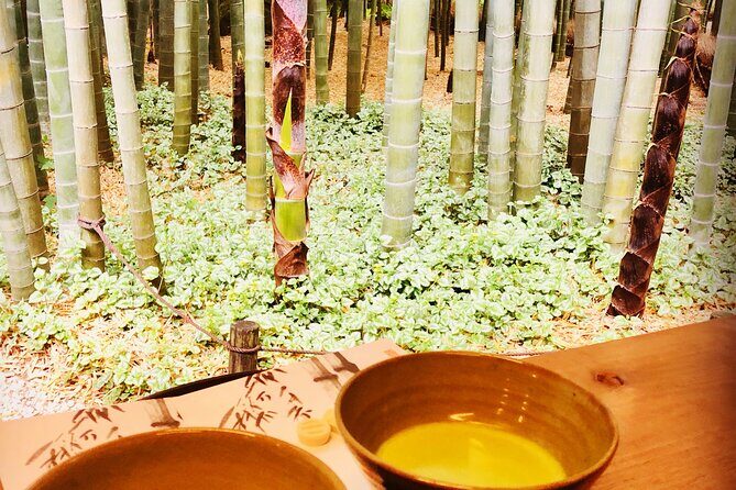 Buddha, Bamboo & Zen - Bespoke Kamakura Private Walking Tours - Kotoku-in Great Buddha: your first big visual wow