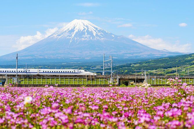 Bullet Train and Mt. Fuji Famous Food Tour - Price and What You’re Really Paying For