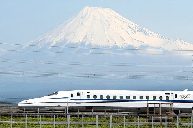Bullet Train Experience & Mishima Shrine Private Tour from Tokyo - Key things to know before you go