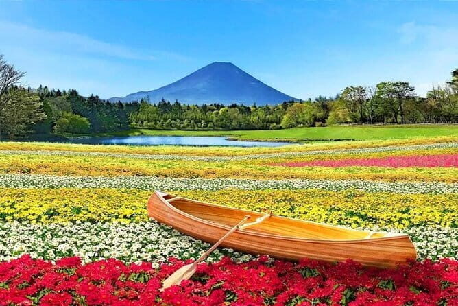 Bullet Train Experience & Mishima Shrine Private Tour from Tokyo - Tokyo Station Marunouchi: where the day turns fast