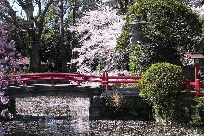 Bullet Train Experience & Mishima Shrine Private Tour from Tokyo - Meeting at 8:30 and getting out of central Tokyo