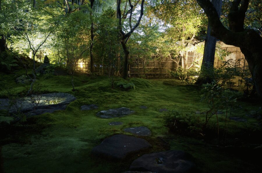 Candlelit Zen: Evening Meditation at Kyoto’s Secret Temple - Tea ceremony and monk discussion: closing the loop with calm