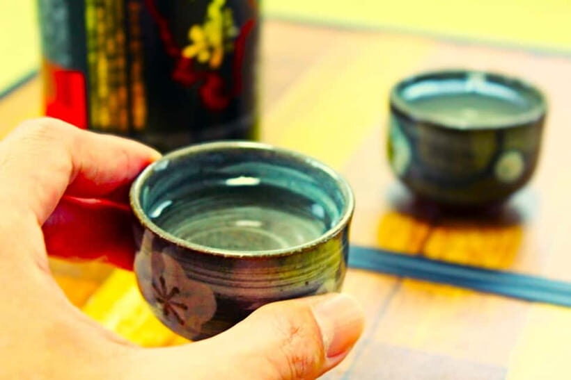 Casual Japanese sake tasting and snack experience, Kabukicho - Group size, guide help, and the language reality