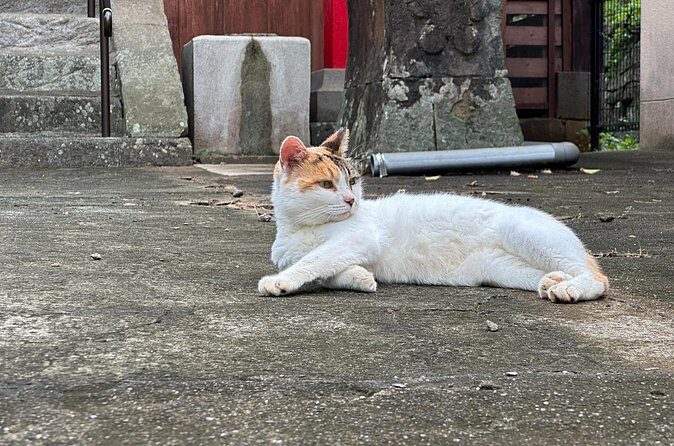 Cats & Hidden Alleyways: a Kitty-themed Walking Tour in Nagasaki - The ending at Nagasaki Omagari Neko Shrine: a small finale with a big mood