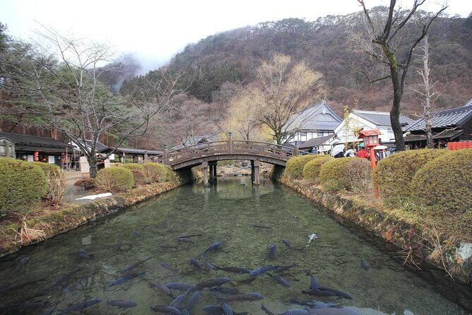 Chartered Private Tour - Tokyo to Nikko, Toshogu, Edo Wonderland - Taiyuinbyo and Tamozawa Imperial Villa: the Tokugawa story in two settings