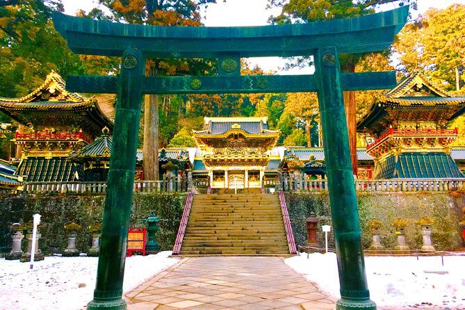 Chartered Private Tour - Tokyo to Nikko, Toshogu, Edo Wonderland - Ashikaga Flower Park and Berry’s Fan: plan for seasons