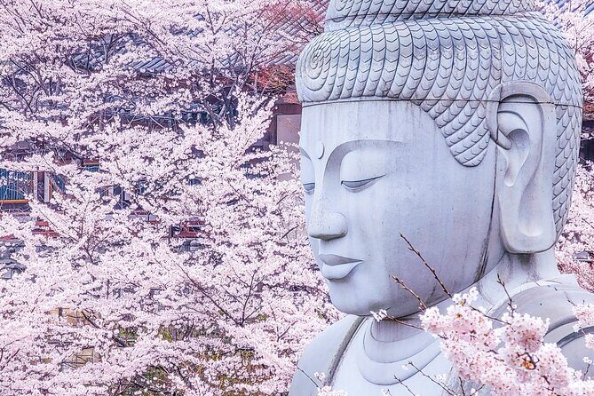 Cherry Blossom Buddha and Mt.Yoshino with Strawberry Picking Tour - Key Things That Make This Tour Worth Your Time