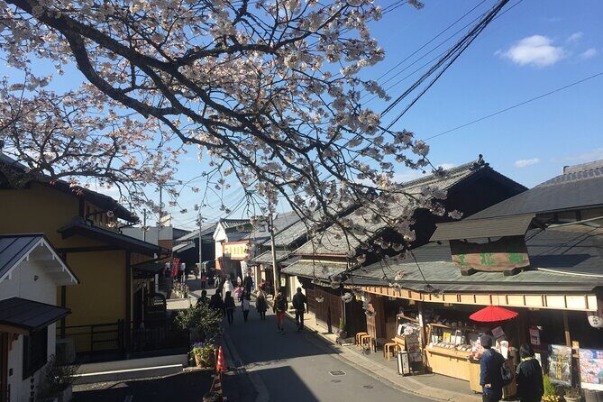 Cherry Blossom Buddha and Mt.Yoshino with Strawberry Picking Tour - Price and Value: Is $114.02 a Good Deal?