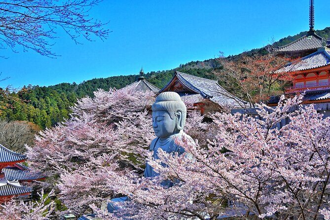 Cherry Blossom Buddha and Mt.Yoshino with Strawberry Picking Tour - Osaka to Mount Yoshino by Air-Conditioned Bus (and Why That Matters)