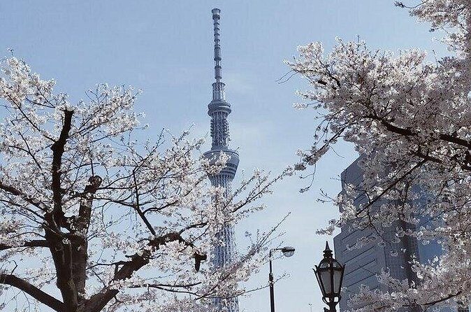 Cherry Blossom Highlights, Asakusa, Ueno, Imperial Palace Garden - Ameyoko Shopping Street: street food and everyday Tokyo energy