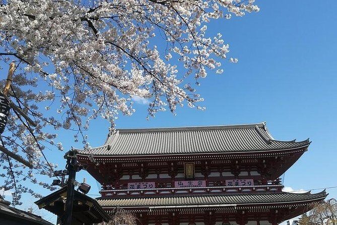 Cherry Blossom Highlights, Asakusa, Ueno, Imperial Palace Garden - Price and value: what $221.12 buys you in real terms