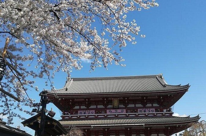 Cherry Blossom Highlights, Asakusa, Ueno, Imperial Palace Garden - When blossoms are early (or late): how flexibility saves your photos
