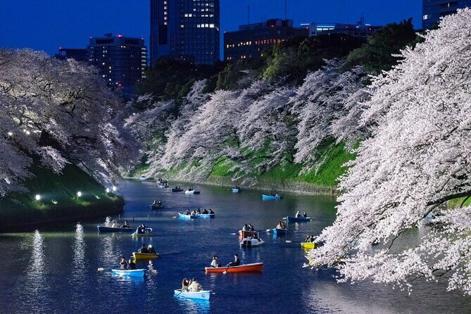 Cherry Blossom Private Tour - Stop 3: Roppongi’s cherry blossom hill for a Tokyo skyline twist