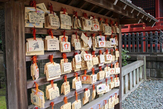 Chill Out in Tokyo: Personalized Private Tours with Local Friends - Yoyogi Park and Meiji Shrine Imperial Garden: an easy reset from the crowds