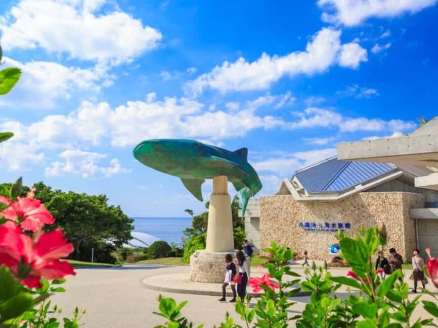 <1Dya Tour>Churaumi Aquarium, Cape Manzamo, American Village - Ocean Expo Park and Okinawa Churaumi Aquarium: the main event