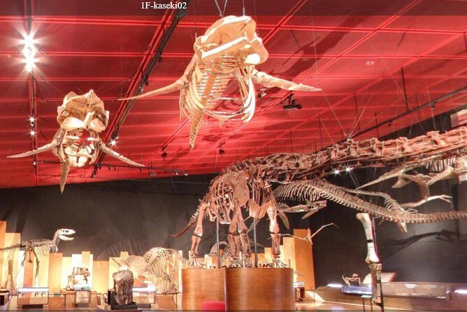 Coal & Fossil Museum Admission Ticket - Stop 1: The Coal and Fossil Museum galleries of Iwaki’s Tokiwa coalfield